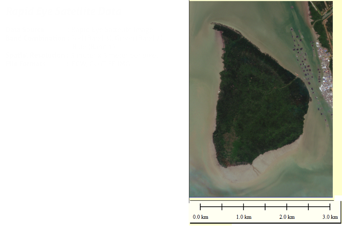 Pulau Kukup - Rapid Eye Satellite