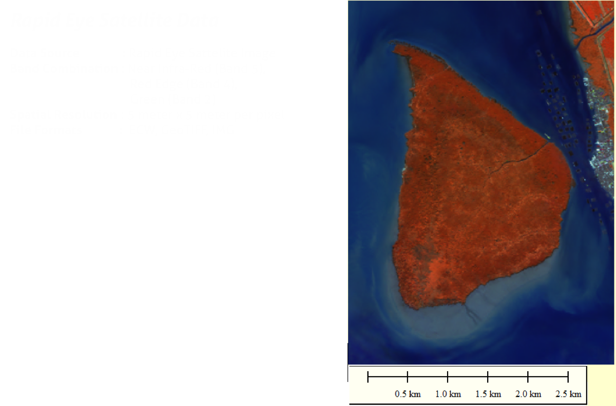 Pulau Kukup - Rapid Eye Satellite