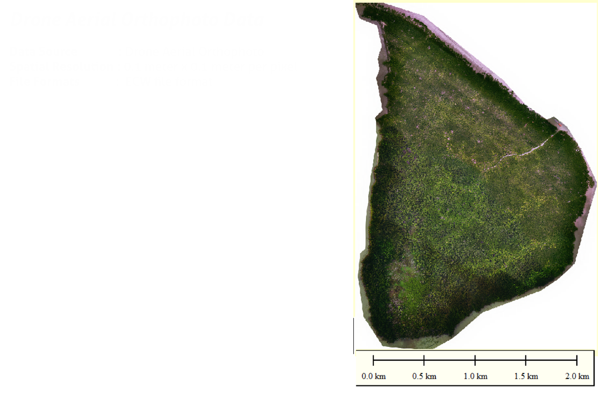 Pulau Kukup - Drone Aerial Orthophoto Data