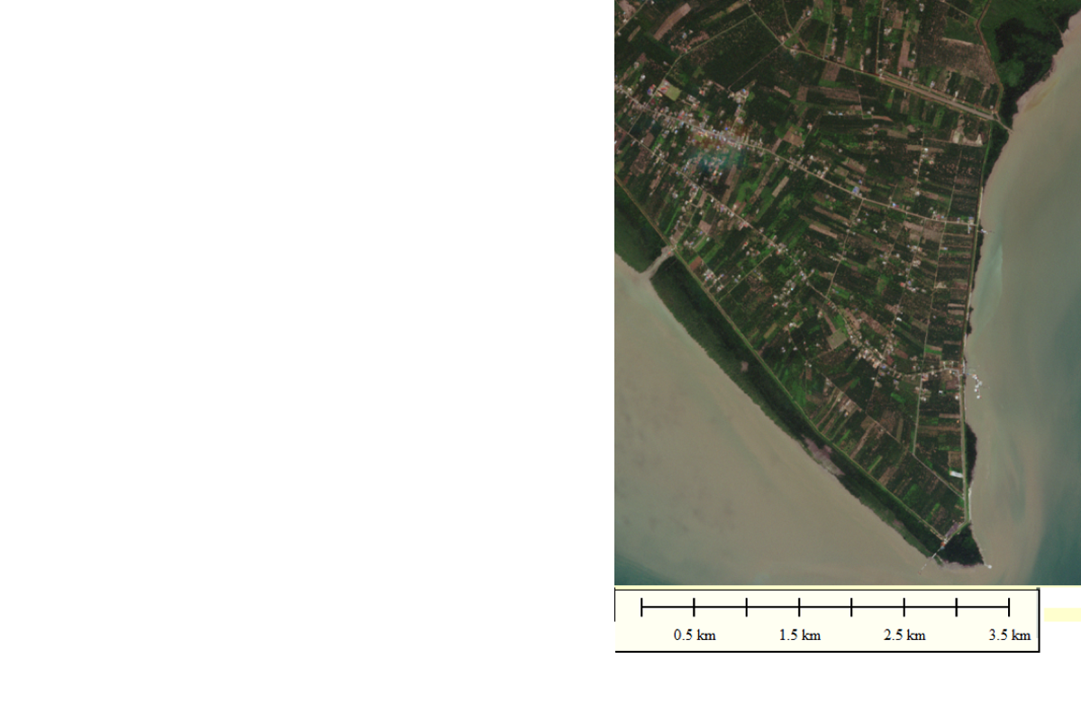 Tanjung Piai - Rapid Eye Satellite