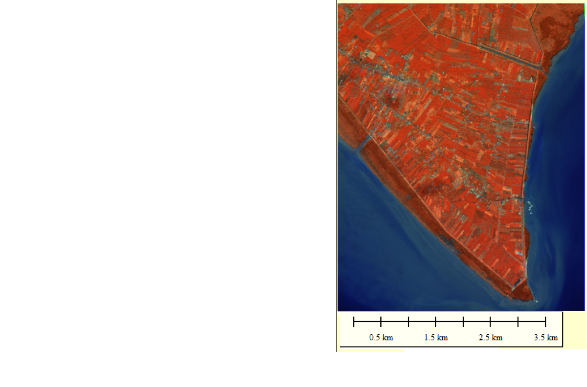 Tanjung Piai - Rapid Eye Satellite