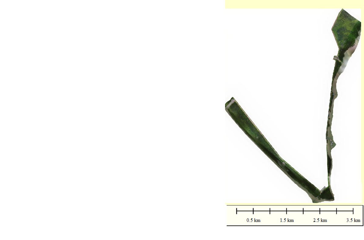 Tanjung Piai - Drone Aerial Orthophoto Data