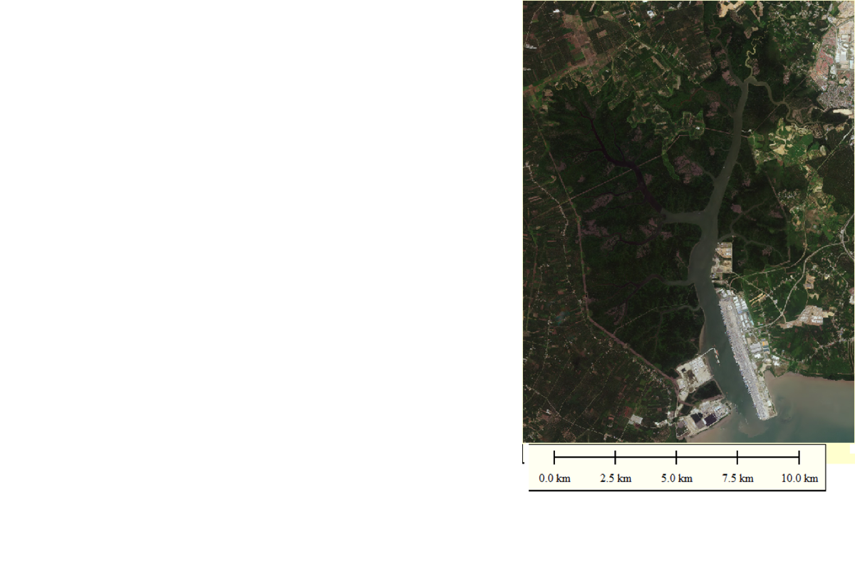 Sungai Pulai - Rapid Eye Satellite